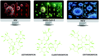 Graphical abstract: Computational analysis of macrolides as SARS-CoV-2 main protease inhibitors: a pattern recognition study based on molecular topology and validated by molecular docking
