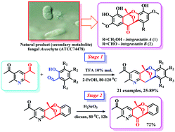 Graphical abstract: Synthesis of new representatives of 11,12-dihydro-5H-5,11-epoxybenzo[7,8]oxocino[4,3-b]pyridines – structural analogues of integrastatins A, B