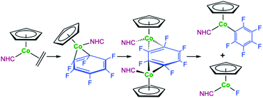 Graphical abstract: C–F bond activation of perfluorinated arenes using NHC-stabilized cobalt half-sandwich complexes