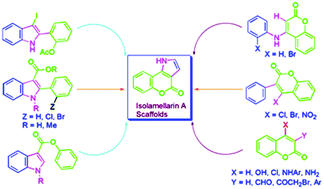 Graphical abstract: Diverse synthesis of pyrrolo/indolo[3,2-c]coumarins as isolamellarin-A scaffolds: a brief update