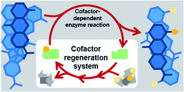 Graphical abstract: Round, round we go – strategies for enzymatic cofactor regeneration