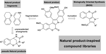 Graphical abstract: Guided by evolution: from biology oriented synthesis to pseudo natural products