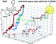 Graphical abstract: Chemical syntheses of the salvinorin chemotype of KOR agonist