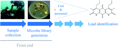 Graphical abstract: The need to innovate sample collection and library generation in microbial drug discovery: a focus on academia