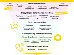 Graphical abstract: The application potential of machine learning and genomics for understanding natural product diversity, chemistry, and therapeutic translatability