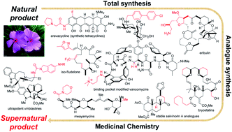 Graphical abstract: The quest for supernatural products: the impact of total synthesis in complex natural products medicinal chemistry