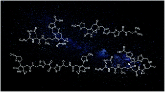 Graphical abstract: Employing chemical synthesis to study the structure and function of colibactin, a “dark matter” metabolite