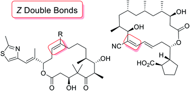 Graphical abstract: Cis double bond formation in polyketide biosynthesis
