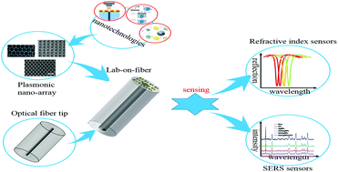 Graphical abstract: Lab-on-fiber: plasmonic nano-arrays for sensing