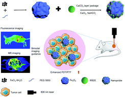 Graphical abstract: A nanoplatform with tumor-targeted aggregation and drug-specific release characteristics for photodynamic/photothermal combined antitumor therapy under near-infrared laser irradiation