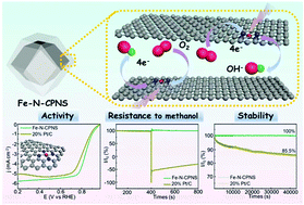 Graphical abstract: Turning on electrocatalytic oxygen reduction by creating robust Fe–Nx species in hollow carbon frameworks via in situ growth of Fe doped ZIFs on g-C3N4