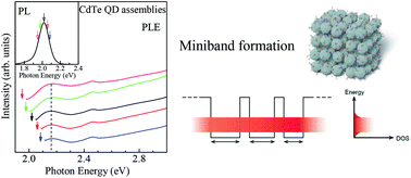 Graphical abstract: Coupled electronic states in CdTe quantum dot assemblies fabricated by utilizing chemical bonding between ligands