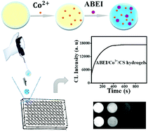 Graphical abstract: Enhancing hydrogel-based long-lasting chemiluminescence by a platinum-metal organic framework and its application in array detection of pesticides and d-amino acids