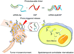Graphical abstract: A photo-triggerable aptamer nanoswitch for spatiotemporal controllable siRNA delivery