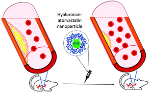 Graphical abstract: Effective atherosclerotic plaque inflammation inhibition with targeted drug delivery by hyaluronan conjugated atorvastatin nanoparticles