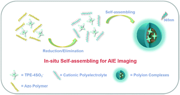 Graphical abstract: In situ construction of a self-assembled AIE probe for tumor hypoxia imaging