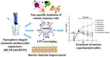 Graphical abstract: Nanosphere-shaped ammonio methacrylate copolymers: converting a pharmaceutical inactive ingredient to efficient therapeutics for experimental colitis