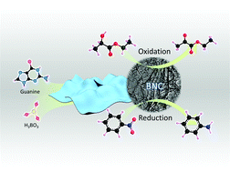 Graphical abstract: Nucleobase derived boron and nitrogen co-doped carbon nanosheets as efficient catalysts for selective oxidation and reduction reactions