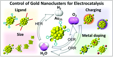 Graphical abstract: Gold nanoclusters as electrocatalysts: size, ligands, heteroatom doping, and charge dependences