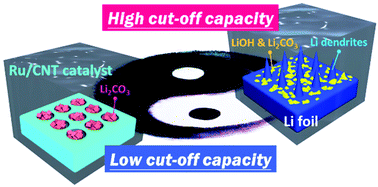 Graphical abstract: Improvement of lithium anode deterioration for ameliorating cyclabilities of non-aqueous Li–CO2 batteries