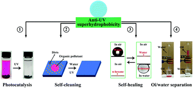 Graphical abstract: An anti-UV superhydrophobic material with photocatalysis, self-cleaning, self-healing and oil/water separation functions