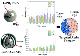 Graphical abstract: Quantitative encapsulation and retention of 227Th and decay daughters in core–shell lanthanum phosphate nanoparticles