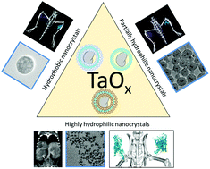 Graphical abstract: Tantalum oxide nanoparticles as versatile contrast agents for X-ray computed tomography