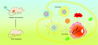 Graphical abstract: Doxorubicin-loaded fluorescent carbon dots with PEI passivation as a drug delivery system for cancer therapy