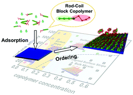 Graphical abstract: Adsorption and ordering of amphiphilic rod–coil block copolymers on a substrate: conditions for well-aligned stripe nanopatterns