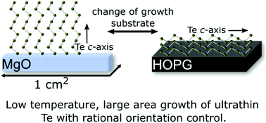 Graphical abstract: Large-area ultrathin Te films with substrate-tunable orientation