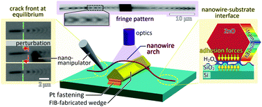 Graphical abstract: Interfacial adhesion of ZnO nanowires on a Si substrate in air