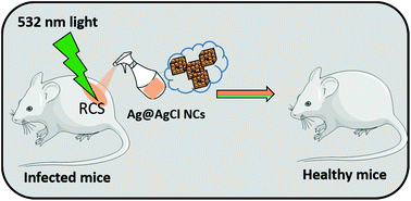 Graphical abstract: Photosensitized reactive chlorine species-mediated therapeutic destruction of drug-resistant bacteria using plasmonic core–shell Ag@AgCl nanocubes as an external nanomedicine