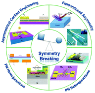 Graphical abstract: Breaking symmetry in device design for self-driven 2D material based photodetectors