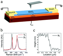 Graphical abstract: Gap state distribution and Fermi level pinning in monolayer to multilayer MoS2 field effect transistors