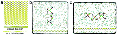 Graphical abstract: Binding patterns and dynamics of double-stranded DNA on the phosphorene surface