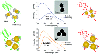 Graphical abstract: Spectral drifts in surface textured Fe3O4-Au, core–shell nanoparticles enhance spectra-selective photothermal heating and scatter imaging