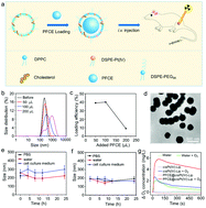 Graphical abstract: Perfluorocarbon nanodroplets stabilized with cisplatin-prodrug-constructed lipids enable efficient tumor oxygenation and chemo-radiotherapy of cancer
