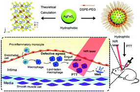 Graphical abstract: AgFeS2 nanoparticles as a novel photothermal platform for effective artery stenosis therapy