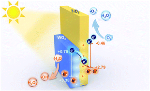 Graphical abstract: An in situ assembled WO3–TiO2 vertical heterojunction for enhanced Z-scheme photocatalytic activity