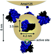 Graphical abstract: The other side of the corona: nanoparticles inhibit the protease taspase1 in a size-dependent manner