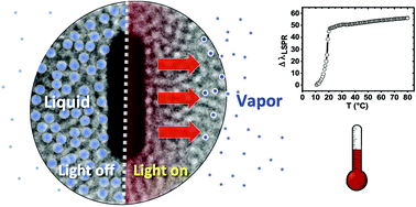 Graphical abstract: Nanoconfined water vapour as a probe to evaluate plasmonic heating