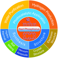 Graphical abstract: Elemental red phosphorus-based materials for photocatalytic water purification and hydrogen production