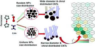 Graphical abstract: Scalable growth of single-walled carbon nanotubes with a highly uniform structure