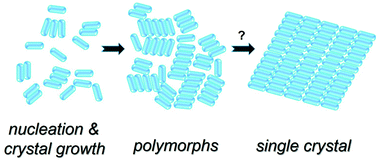 Graphical abstract: Nanoscale tailoring of supramolecular crystals via an oriented external electric field