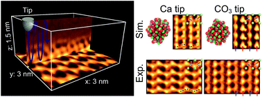 Graphical abstract: Tip dependence of three-dimensional scanning force microscopy images of calcite–water interfaces investigated by simulation and experiments
