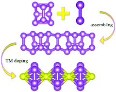 Graphical abstract: A super stable assembled P nanowire with variant structural and magnetic/electronic properties via transition metal adsorption