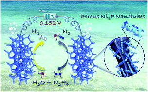Graphical abstract: Anodic hydrazine electrooxidation boosted overall water electrolysis by bifunctional porous nickel phosphide nanotubes on nickel foam