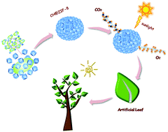 Graphical abstract: Endowing chloroplasts with artificial “cell walls” using metal–organic frameworks