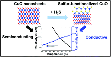 Graphical abstract: Semiconductor-to-conductor transition in 2D copper(ii) oxide nanosheets through surface sulfur-functionalization