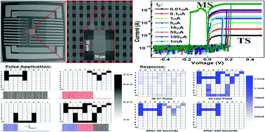 Graphical abstract: The coexistence of threshold and memory switching characteristics of ALD HfO2 memristor synaptic arrays for energy-efficient neuromorphic computing